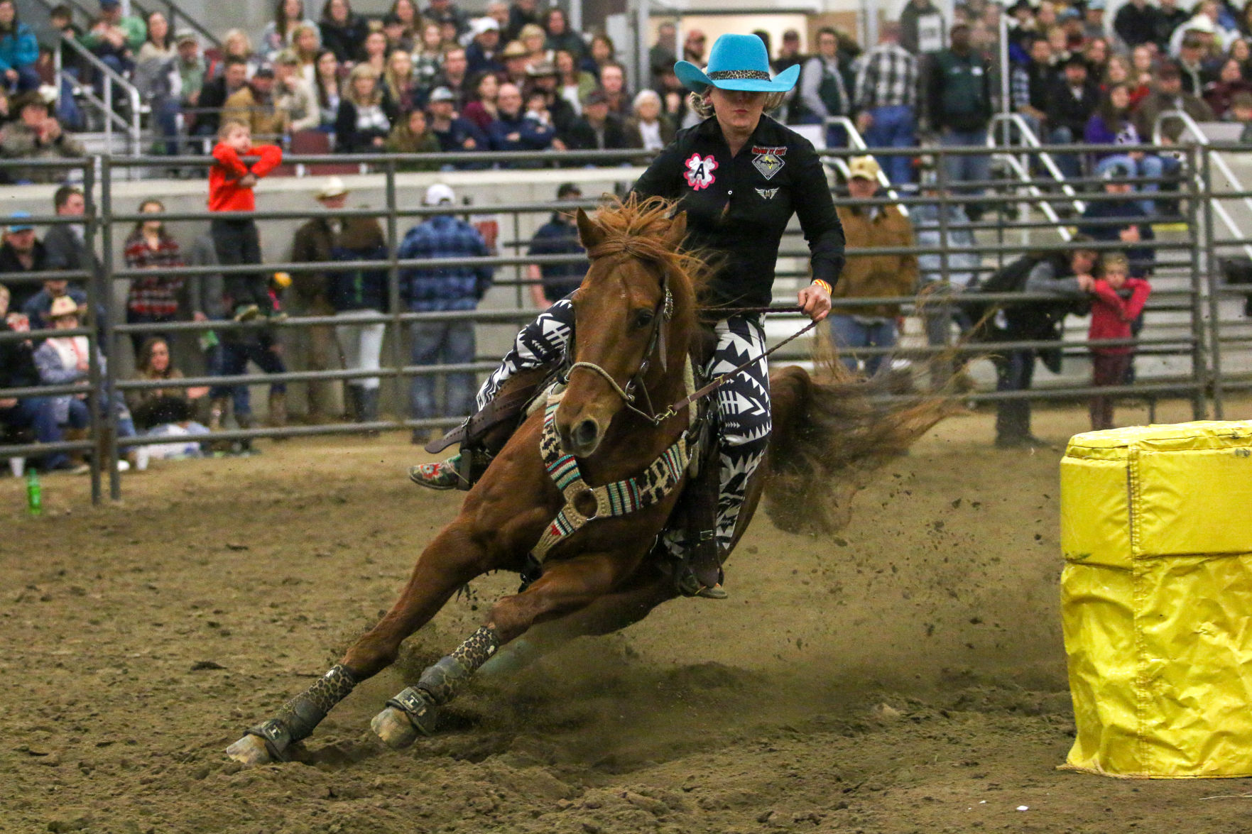 BullBash-4.JPG